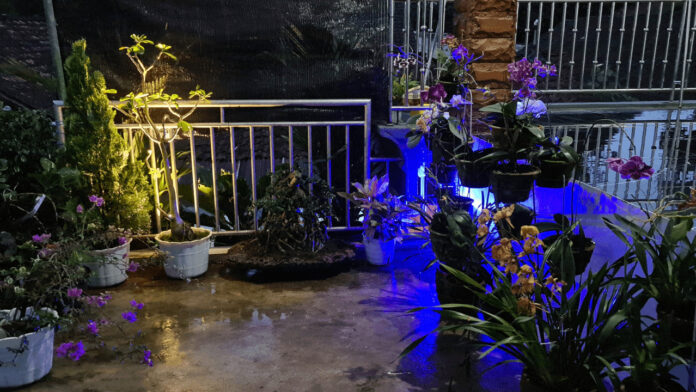 11 Inspirasi Desain Taman Rumah, Cocok untuk Relaksasi