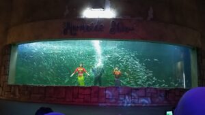 Rasakan Serunya Petualangan Laut di Ocean Dream Samudra Ancol 2 , ANCOL 4fd8218f f135 46f3 97c2 6c6baecbb88e , ANCOL, Binomedia