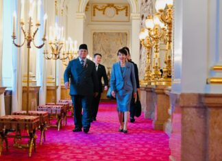 Kemitraan RI–Jepang Masuk Fase Baru, Fokus Investasi dan Transisi Energi Jepang