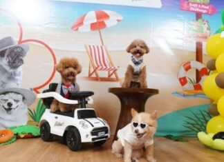 Dog Community Gathering Satukan Komunitas Pecinta Anjing Jelang Jakarta International Pet Show (JIPS) 2026 Jakarta International Pet Show (JIPS) 2026