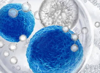 Mahasiswa UNAIR Kembangkan Hydrogel Inovatif untuk Pengobatan Ulkus Diabetik Stem Cell