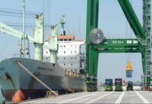 Pelindo Perkuat Operasional Pelabuhan, Dukung Efisiensi Logistik dan Daya Saing Ekonomi Nasional Pelindo
