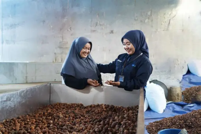 PNM