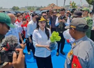 8.000 Satlinmas se-Jawa Tengah Padati Stadion Pandanaran Wujil, ASLINMAS dan ABPEDNAS Perkuat Konsolidasi Organisasi 8.000 Satlinmas se-Jawa Tengah padati Stadion Pandanaran Wujil, ASLINMAS dan ABPEDNAS perkuat konsolidasi organisasi. (Dok. Istimewa)